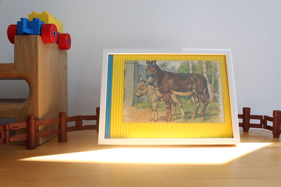 תמונה ממוזערת: animals (donkeys)