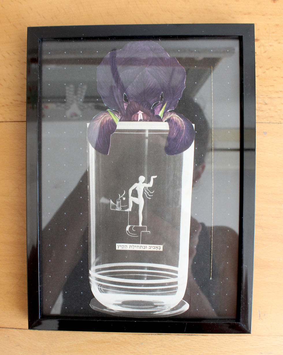 תמונה ממוזערת: iris #2