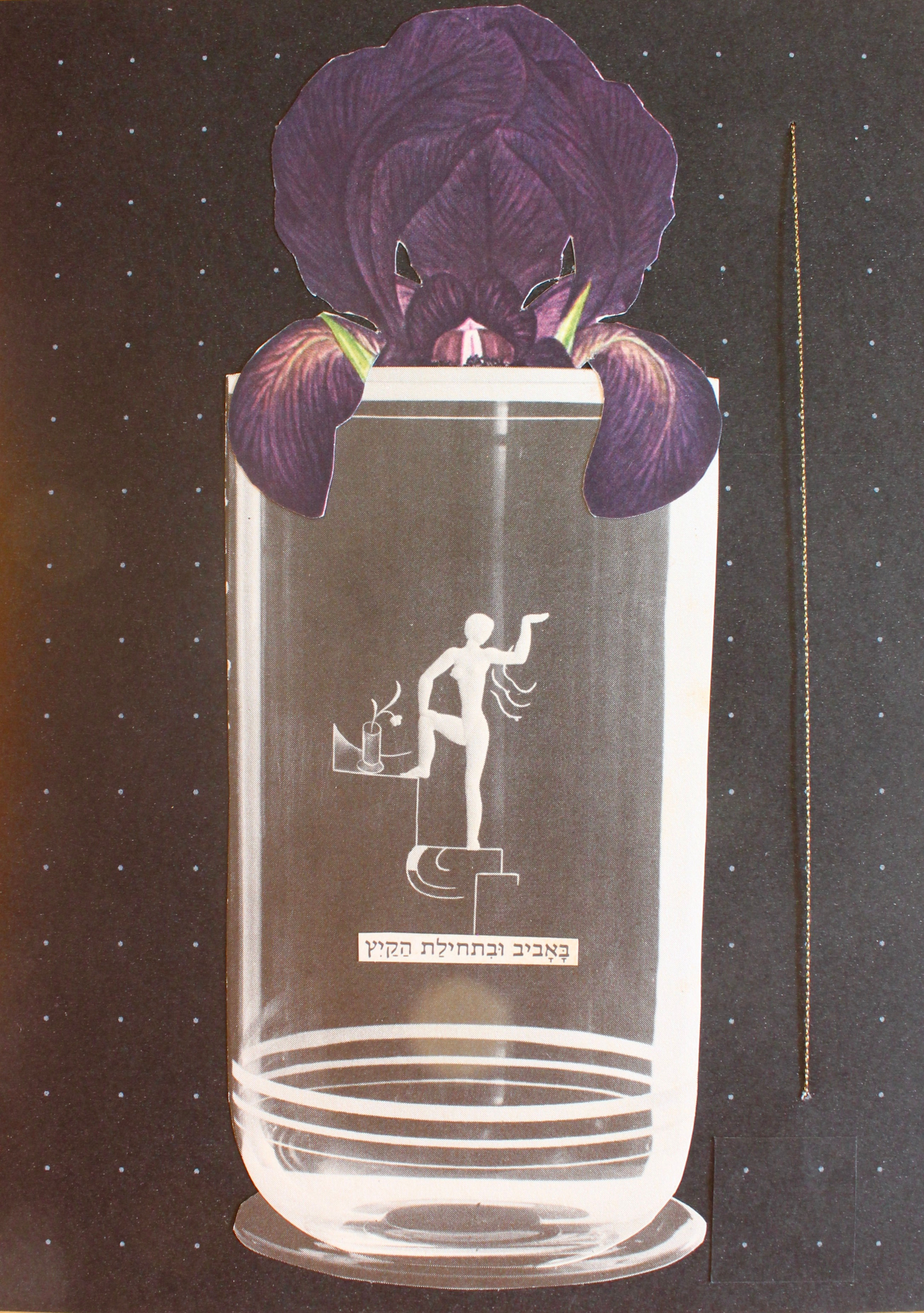 iris #2