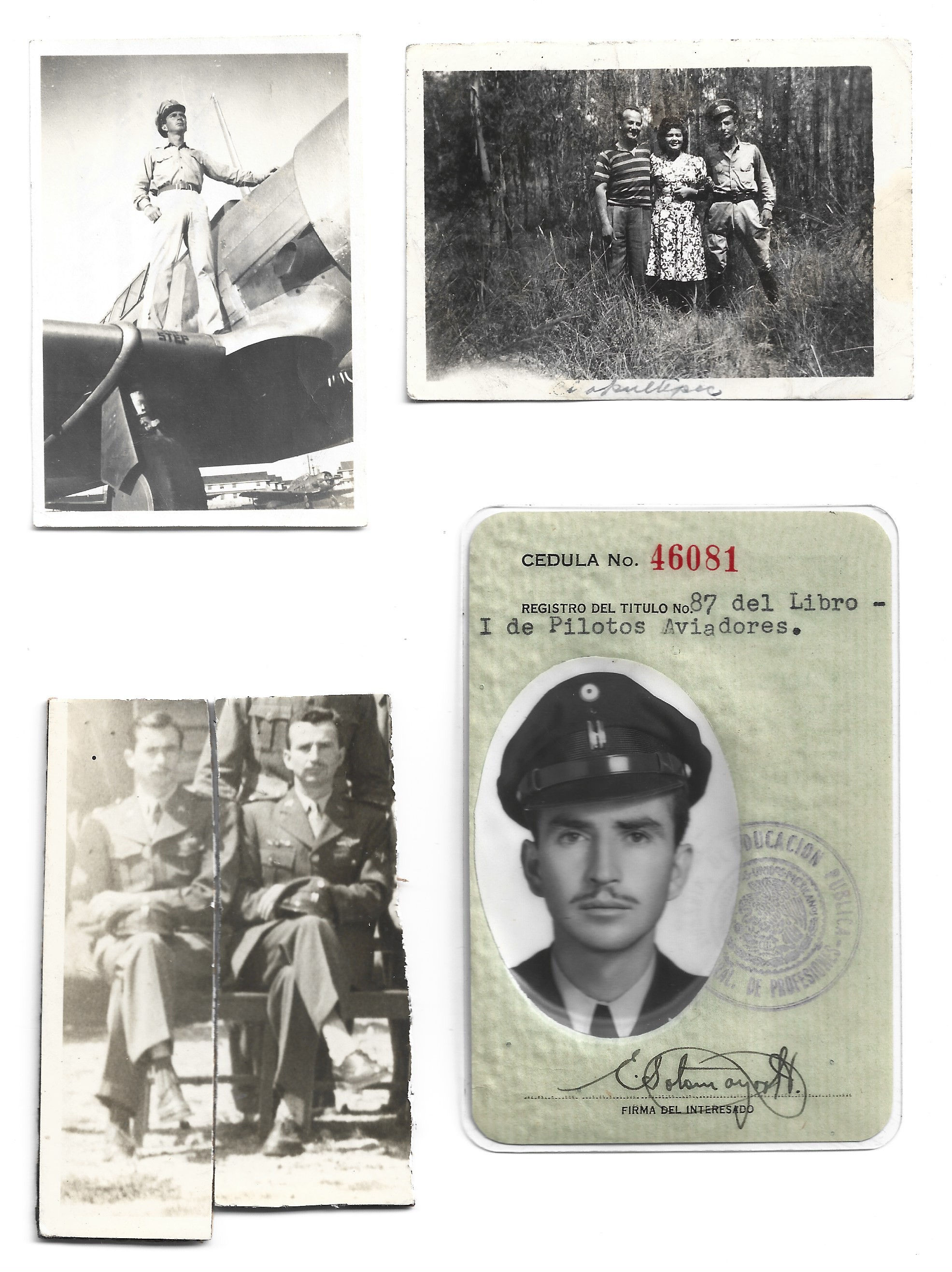 Collection of vintage photos: family portraits and ID card