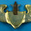 Thumbnail: Gold military badge, back view