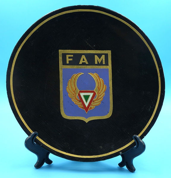 Placa de pared con insignia de unidad de madera de la Fuerza Aérea Mexicana (FAM) vintage