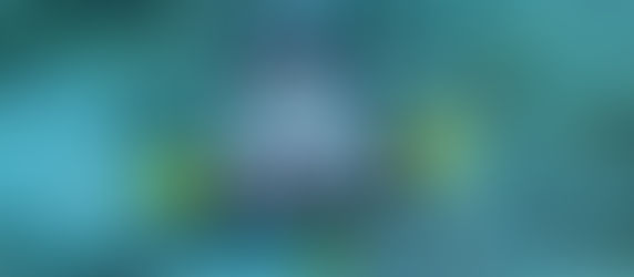 Dominica Travel Blog