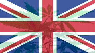 Medical Cannabis in the UK: Legalisation, Unequal Access and Human Rights