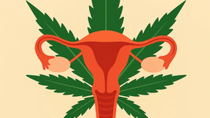 Medical Cannabis For Endometriosis: What Does The Evidence Tell Us?