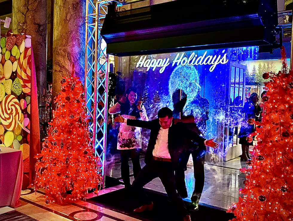 Holiday Holographic Entrance