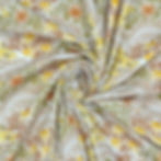 Larkspur Rust