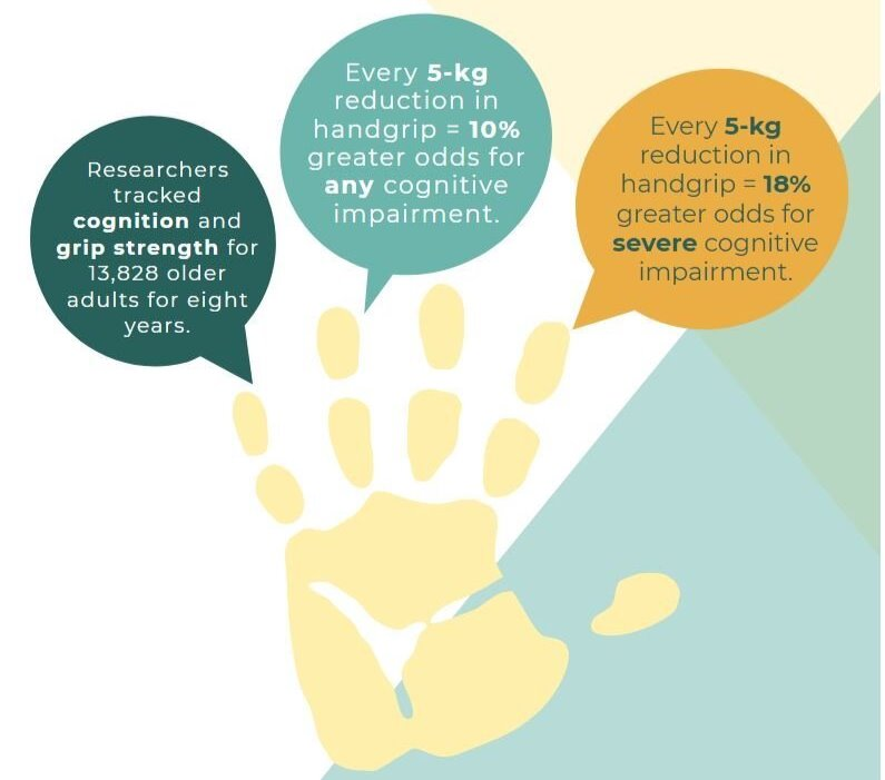 Lack of Grip Strength and Cognitive Problems?