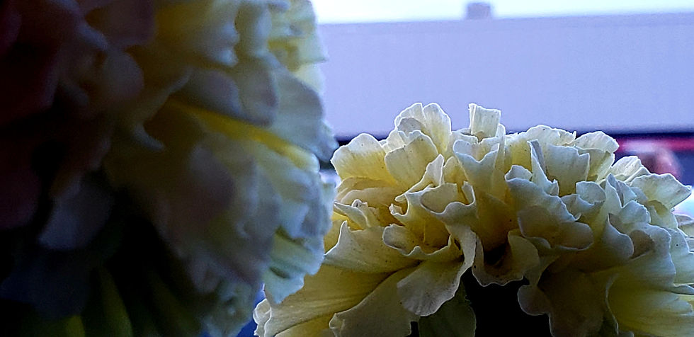 20190706_082215