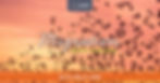 Migration | Regional Juried Show