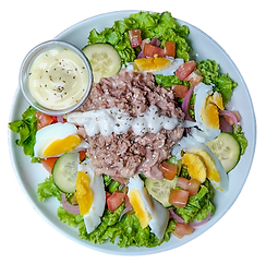 TUNA.png