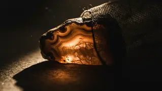 פוליאמוריה בגישת "אל תשאל, אל תספר": האם זה אפשרי?