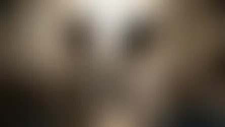 ביקורת, זלזול, התגוננות ואטימות