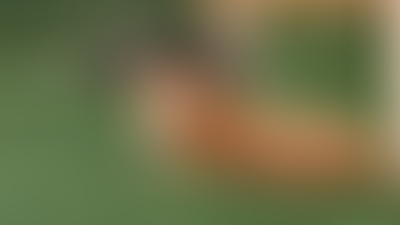 חופש אמיתי עבורי