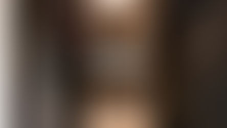 הארון הא-מונוגמי