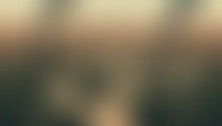 האם אני בקשר הנכון?