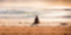 Meditating on the Beach_edited_edited_edited.jpg