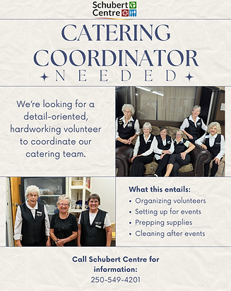 Beige Modern Volunteer Needed Flyer.png