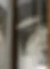0J3A3570_low.webp