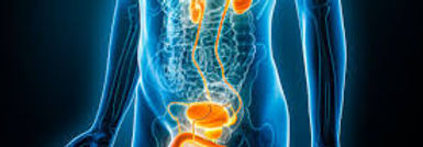 Banner → Neurology - Doctr X Framer Template.png