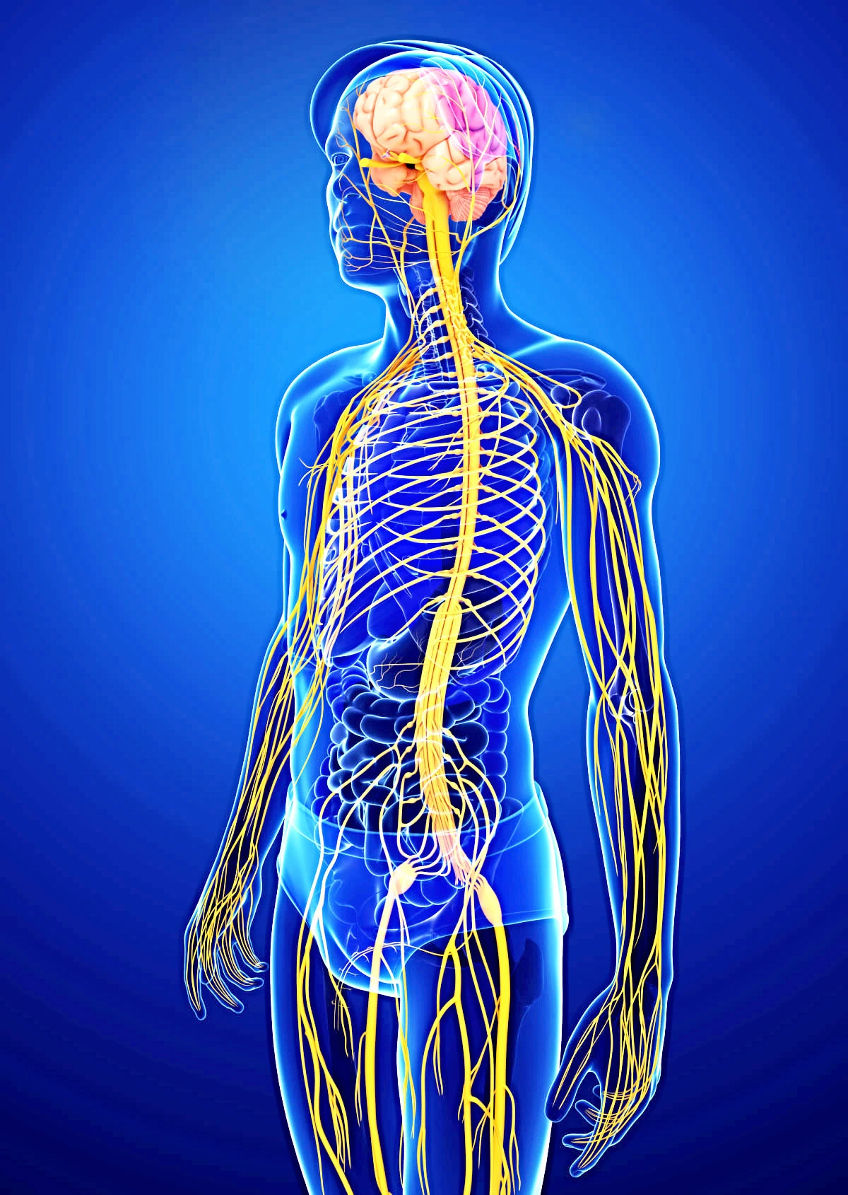 CONSULTA DE NEUROLOGÍA