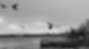 20230411_011652.jpg
