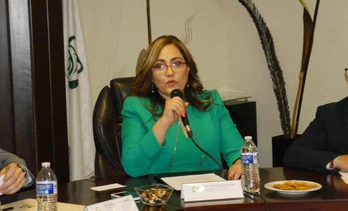 Velia Patricia Silva Delfín