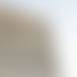 Asignación del ISSSTE por servicios de limpieza reaviva señalamientos sobre contrataciones