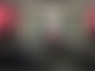 López Obrador impulsará reformas en pensiones y protección animal