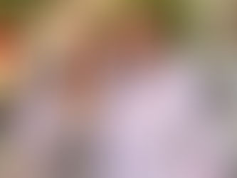 De una condena por tráfico de marihuana en EU a operador político de Julieta Ramírez
