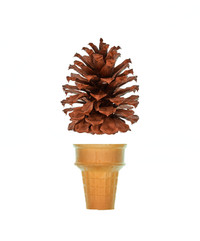 Cone Concept One