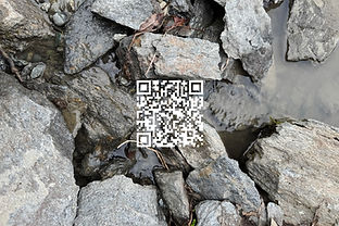 Mountain Stream.jpg