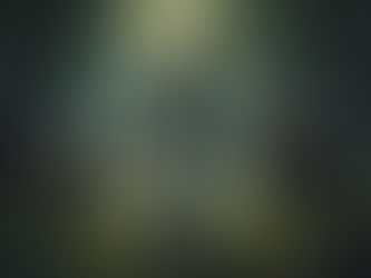 “EL OBSERVADOR DEL ALMA”