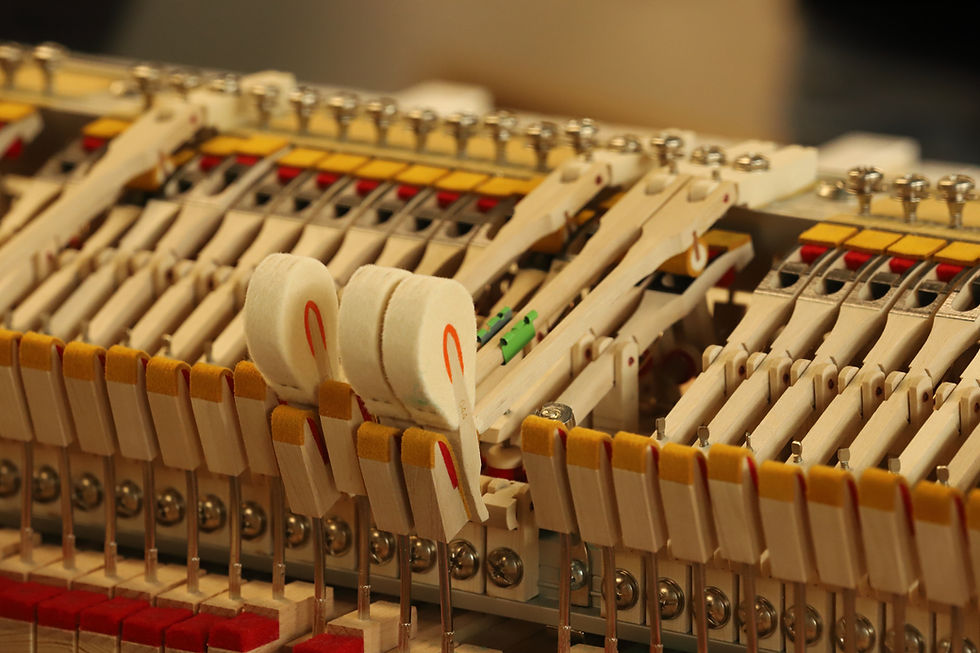 FJV Action Design Training session