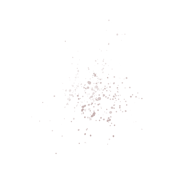 IMG_0038.PNG.png