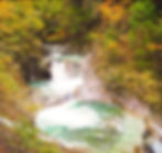 S__4005903.jpg