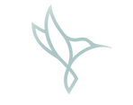 hummingbird with infinity symbol logo