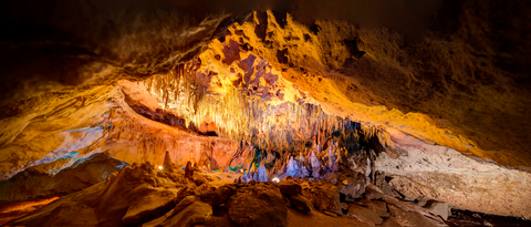 Florida-Caverns-State-Park-by-Amy-Martz-170529-0236-Edit-Edit_edited.png