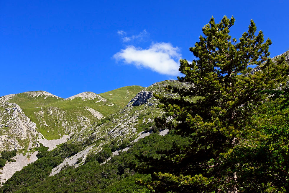 velebit