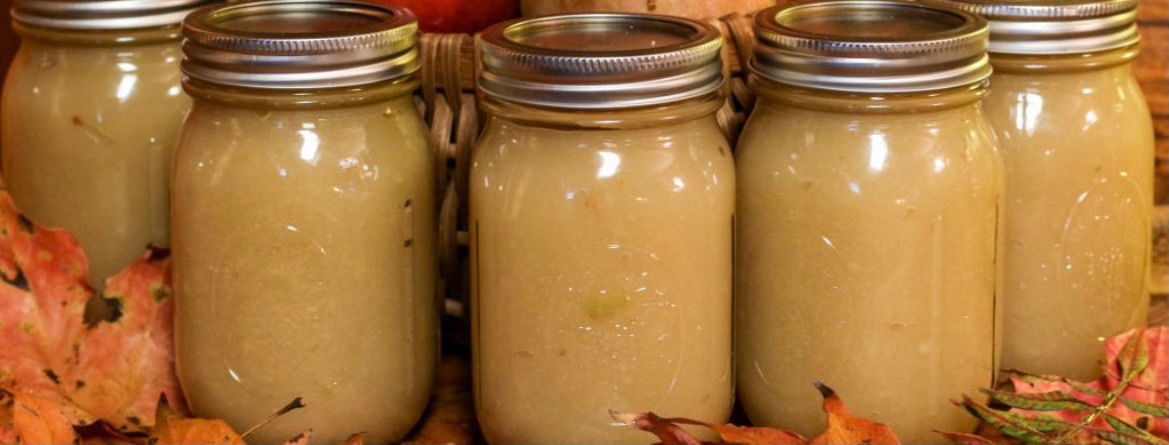 16 oz Jar Irish Moss / Chondrus Crispus