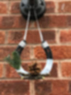 Thumbnail: Hanging Horseshoe