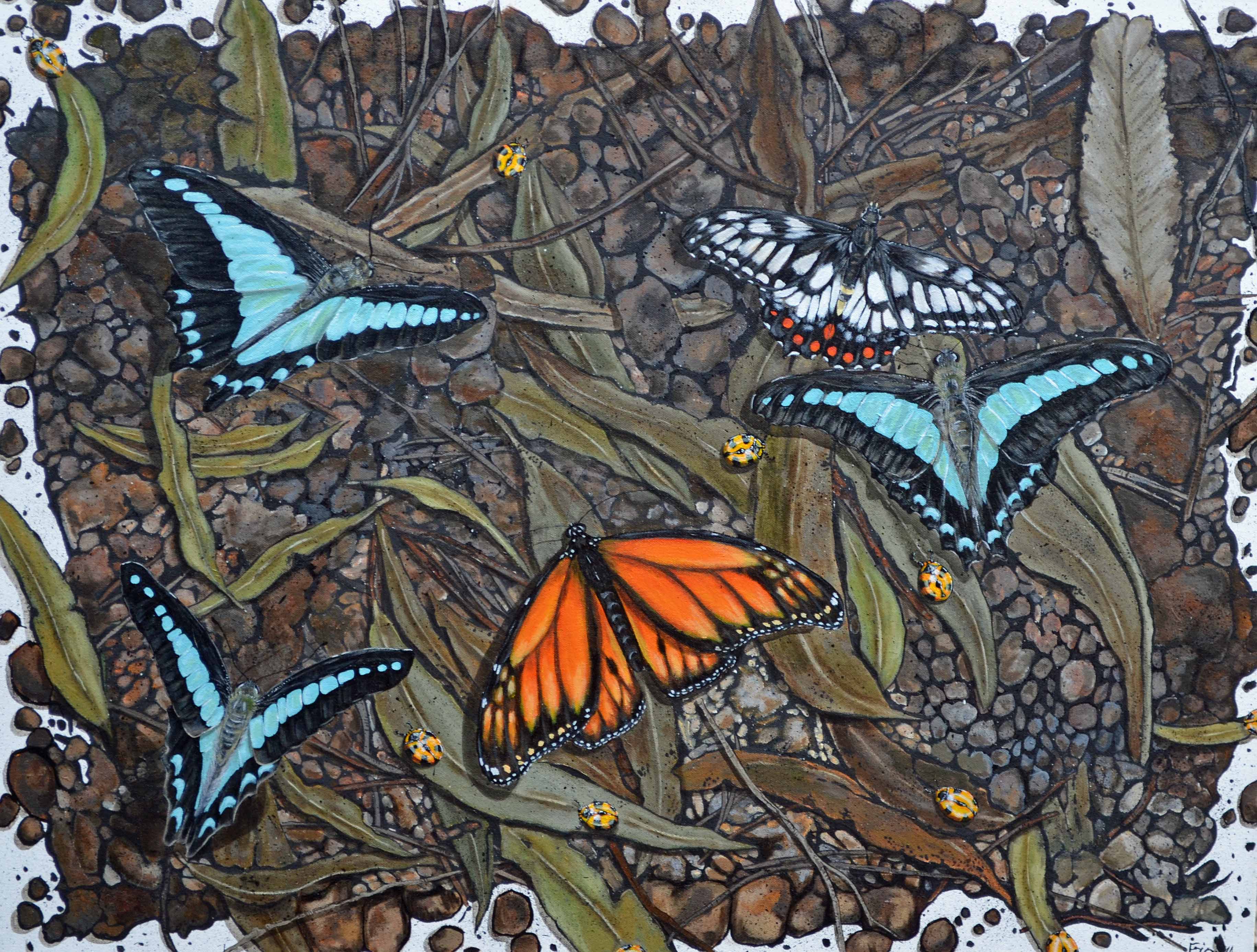 butterfly ballet