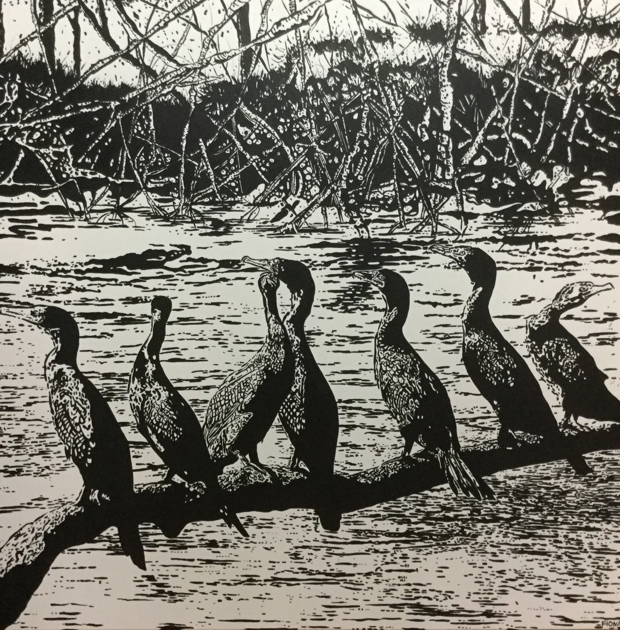 mangrove mafia