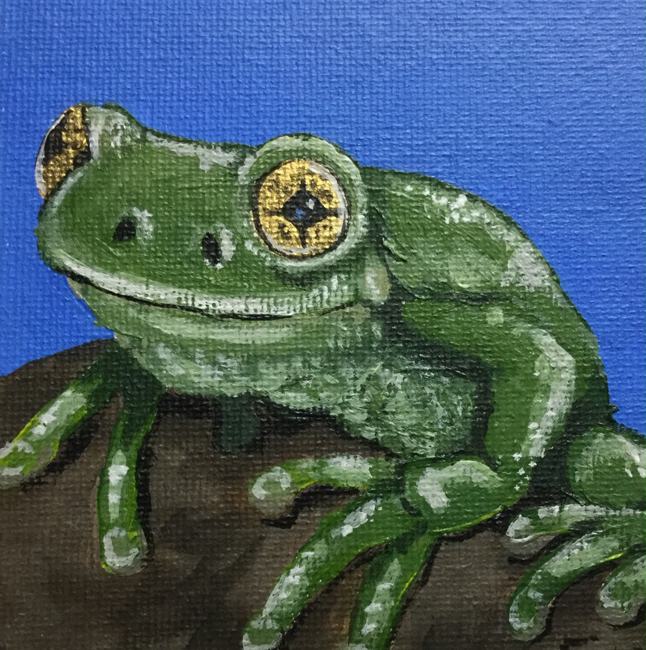 froggy