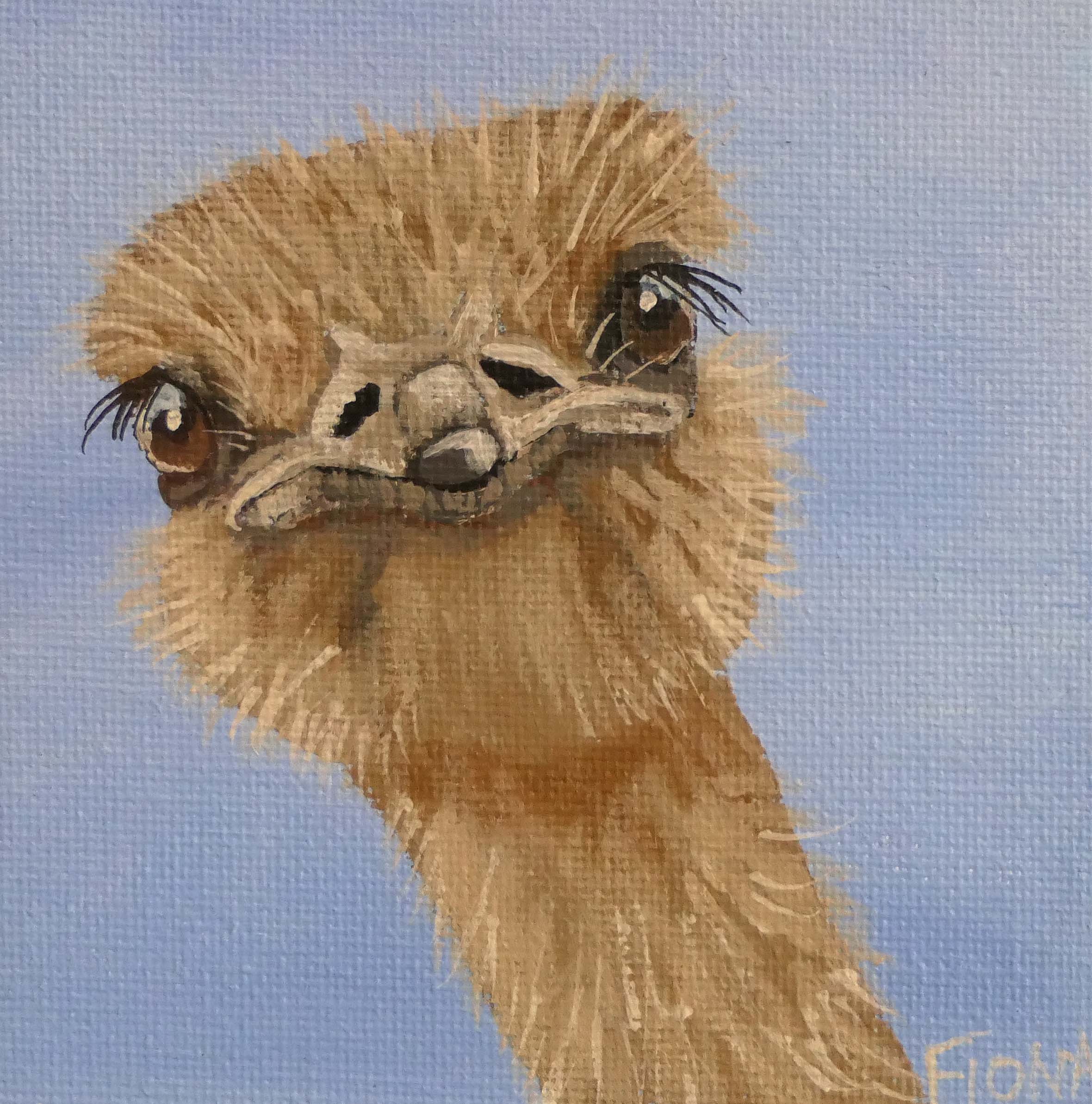 ostrich