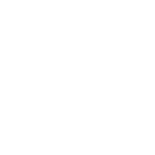 EXPERIENCES (4).png