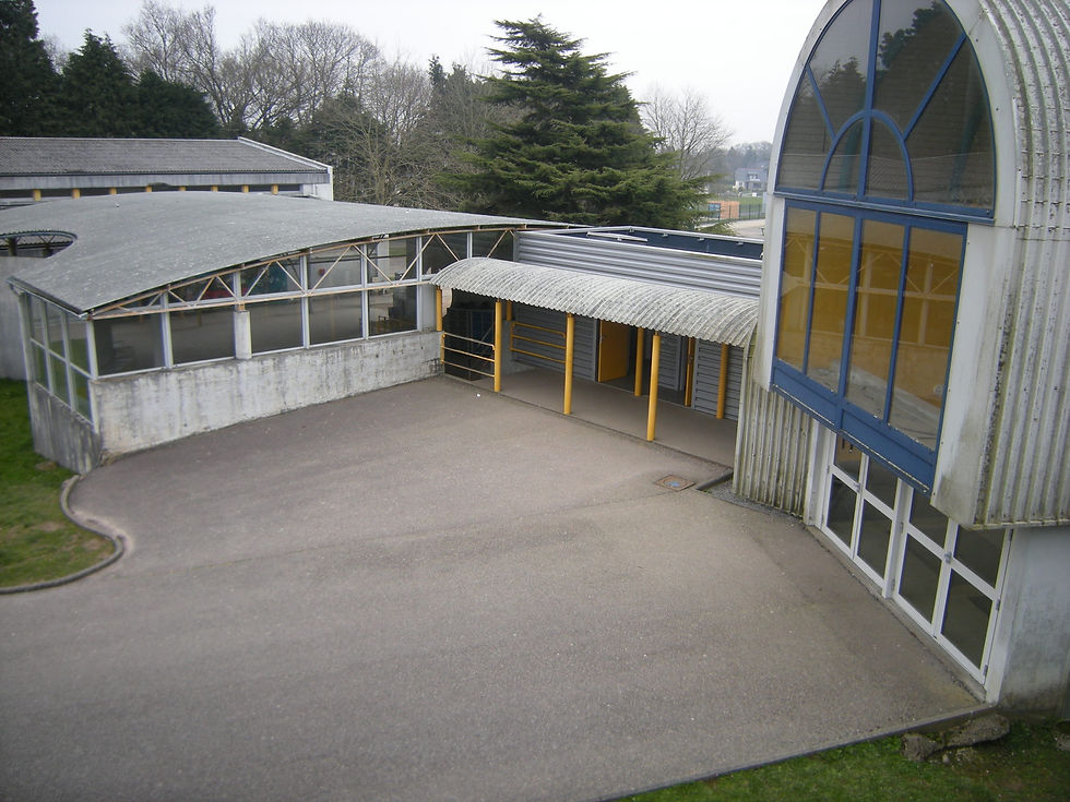 Préau, sanitaires et hall existants