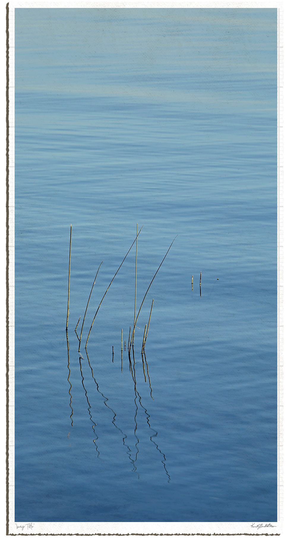 Thumbnail: Morning Calm
