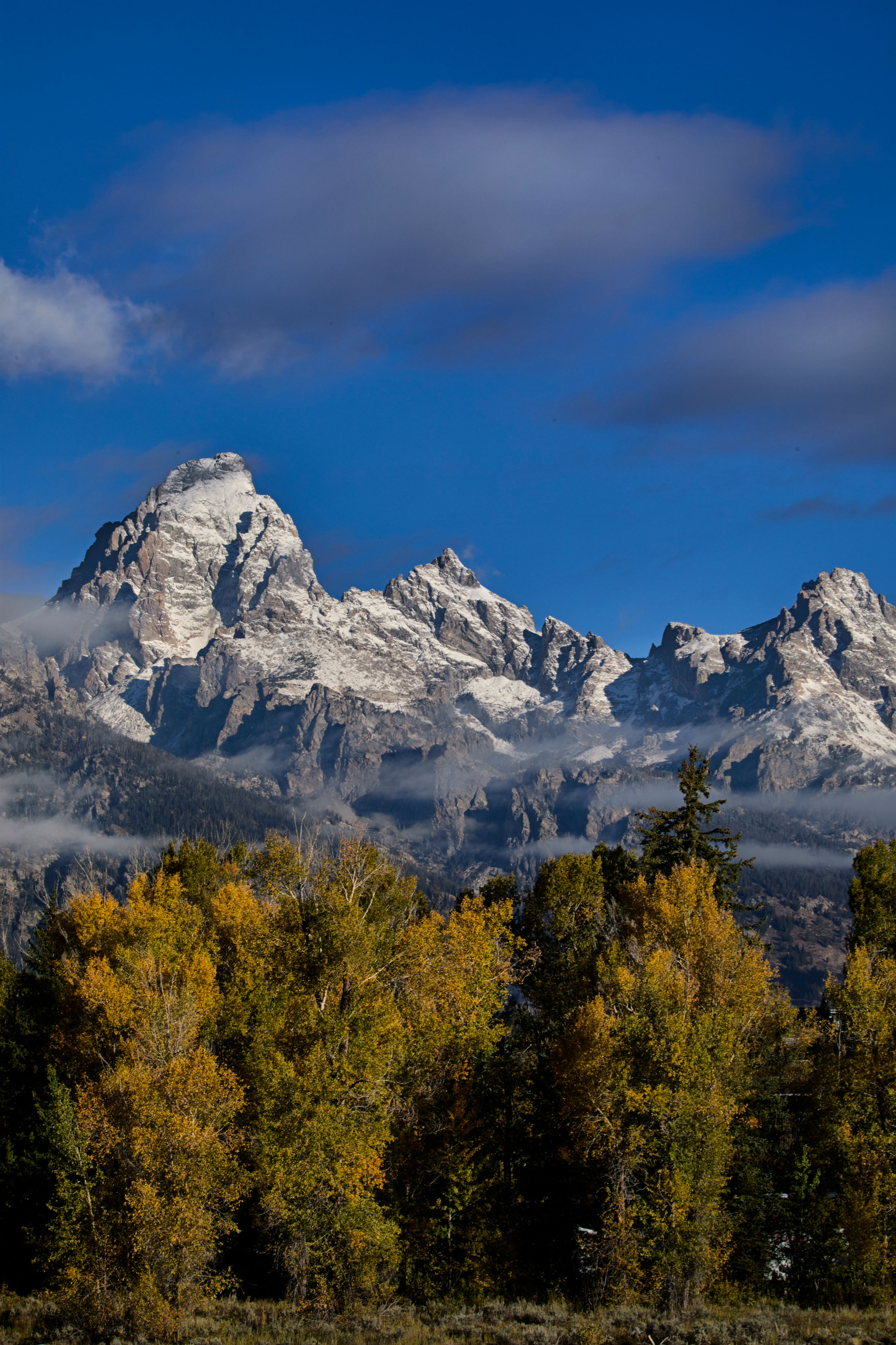 Teton Autumn