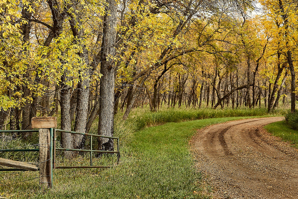 Come on In (Welcome)